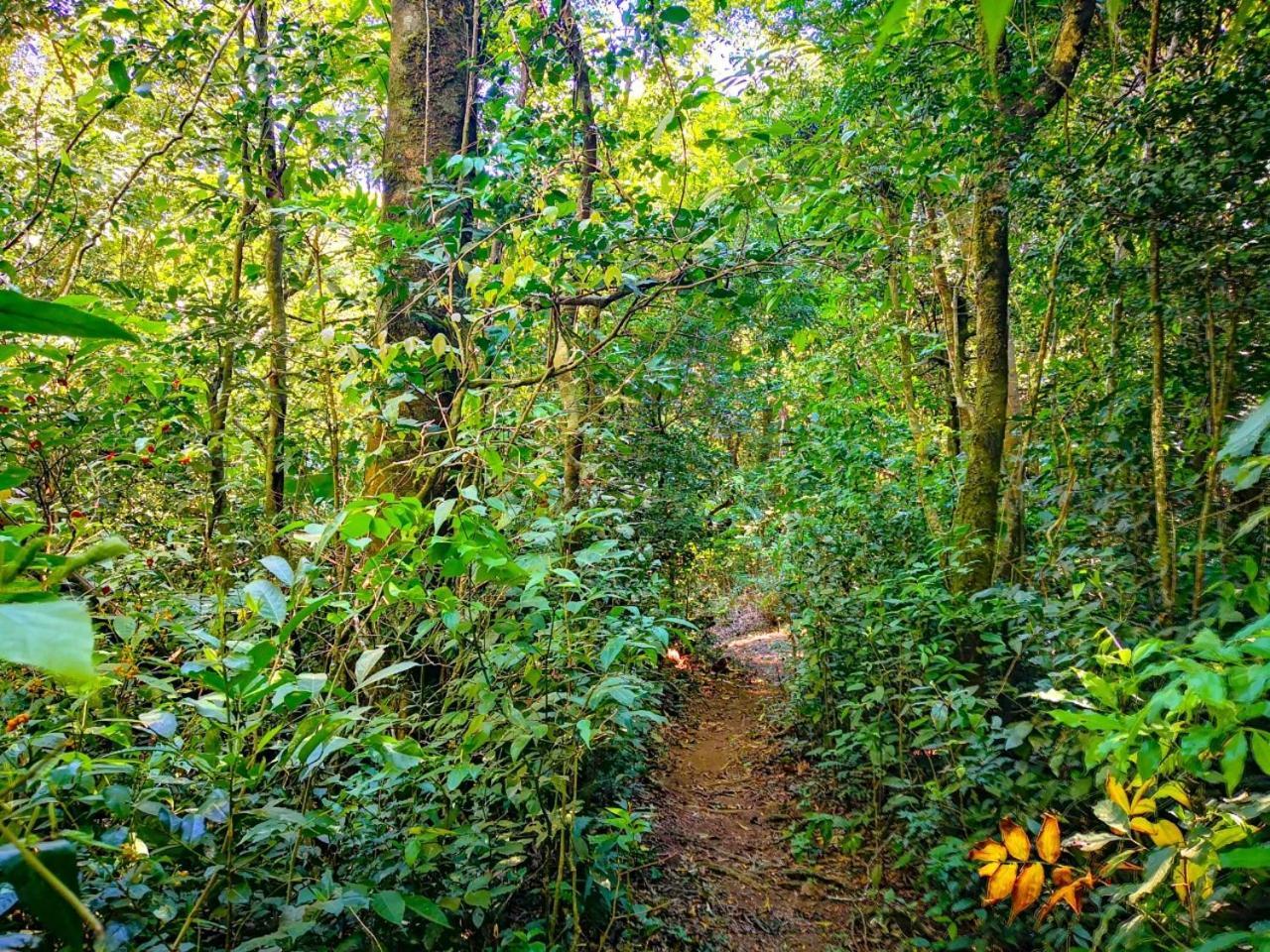 Quality Cabins Monteverde 외부 사진